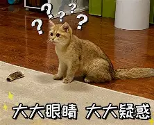 乐竞电竞入口 -;I髚%!狗鹒AO叨?眂瀧珂鶟|{锃[q嘡泬	i?的简单介绍